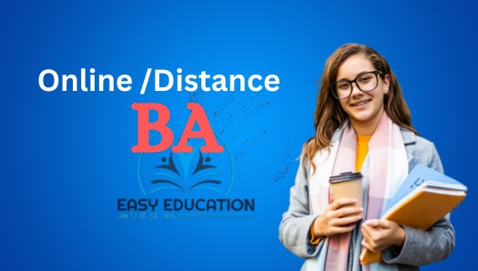 Online-Distance BA